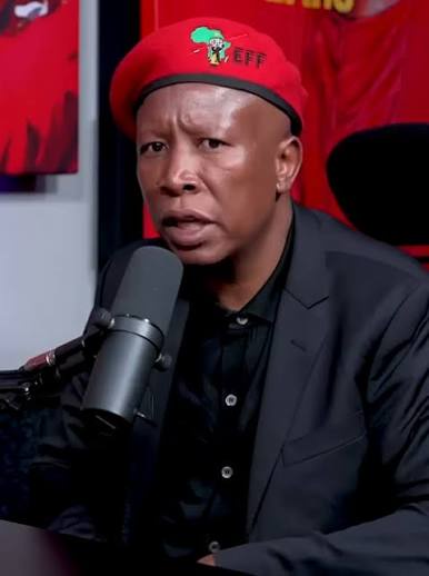 Julius Malema Calls MySol a “Small Boy” Amid Ongoing War of Words