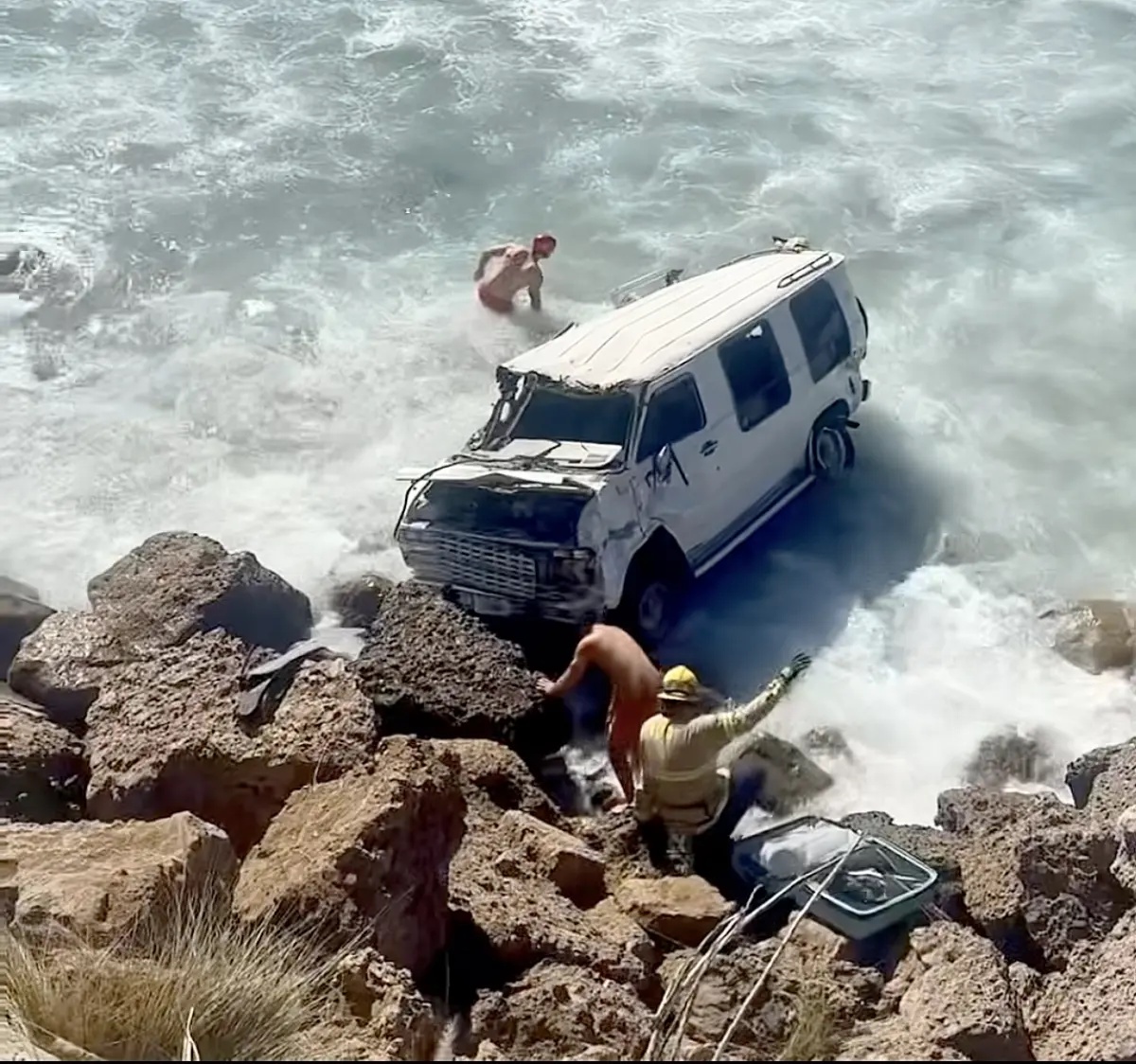 Watch dogs pulled from the Pacific after van plunges into the surf near Malibu