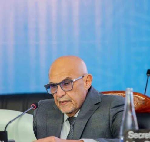 Tanzania calls for global south-north cooperation