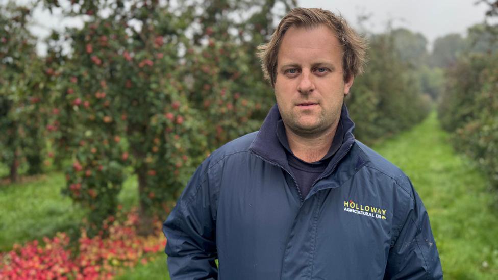 Poor harvest and rising costs for apple farmers