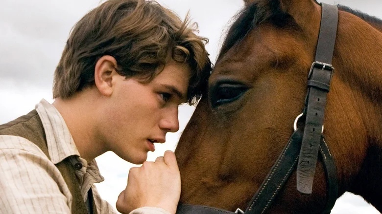 Is War Horse Based On A True Story?