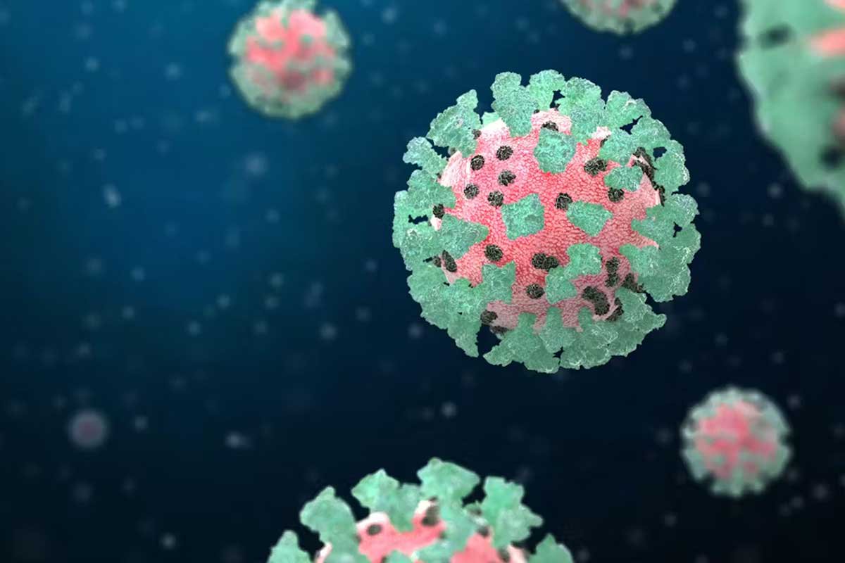 France Records First Human Case of Shamonda Virus as Patient Dies