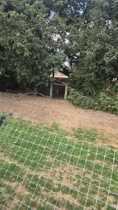 I walked past killer tiger’s fence at Yorkshire Wildlife Park – 1 thing makes no sense