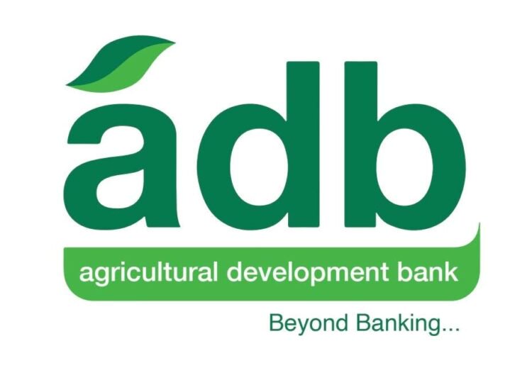 ADB Backs Collaborative Approach to Securing Ghana’s Digital Financial Future