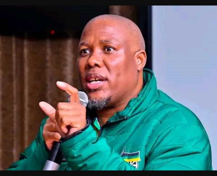 Bheki Mtolo Blasts South Africans For Staying Quiet While Dragging Malema For Doing The Same