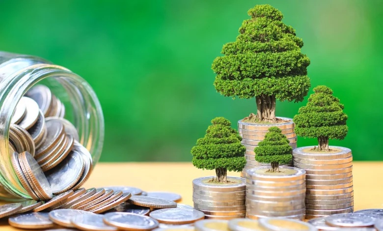 Agroforestry emerges as a green investment path for Tanzania’s youth