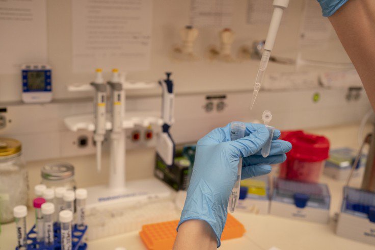 Gut Bacteria Protein Linked to Fever After COVID Vaccines in 171 Adults as Mouse Tests Point to Diet