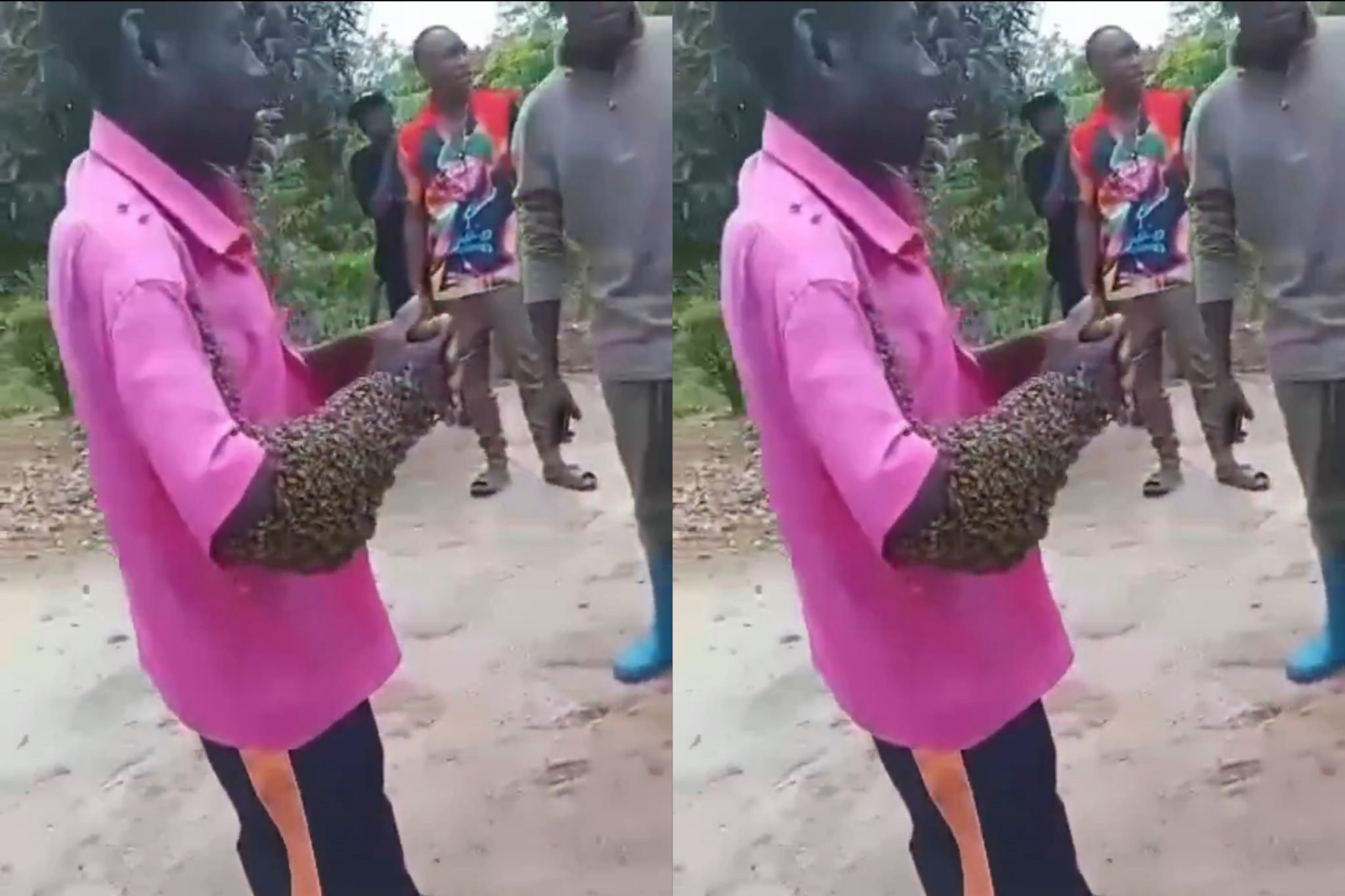 JuJu At Work!! Thief Returns Stolen Truck As Owner Sends Bees To Attack His Hand In Zimbabwe