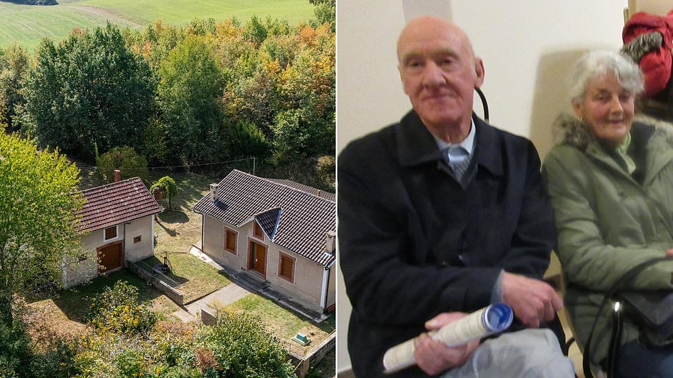 Two men charged over death of retired British artist at French home