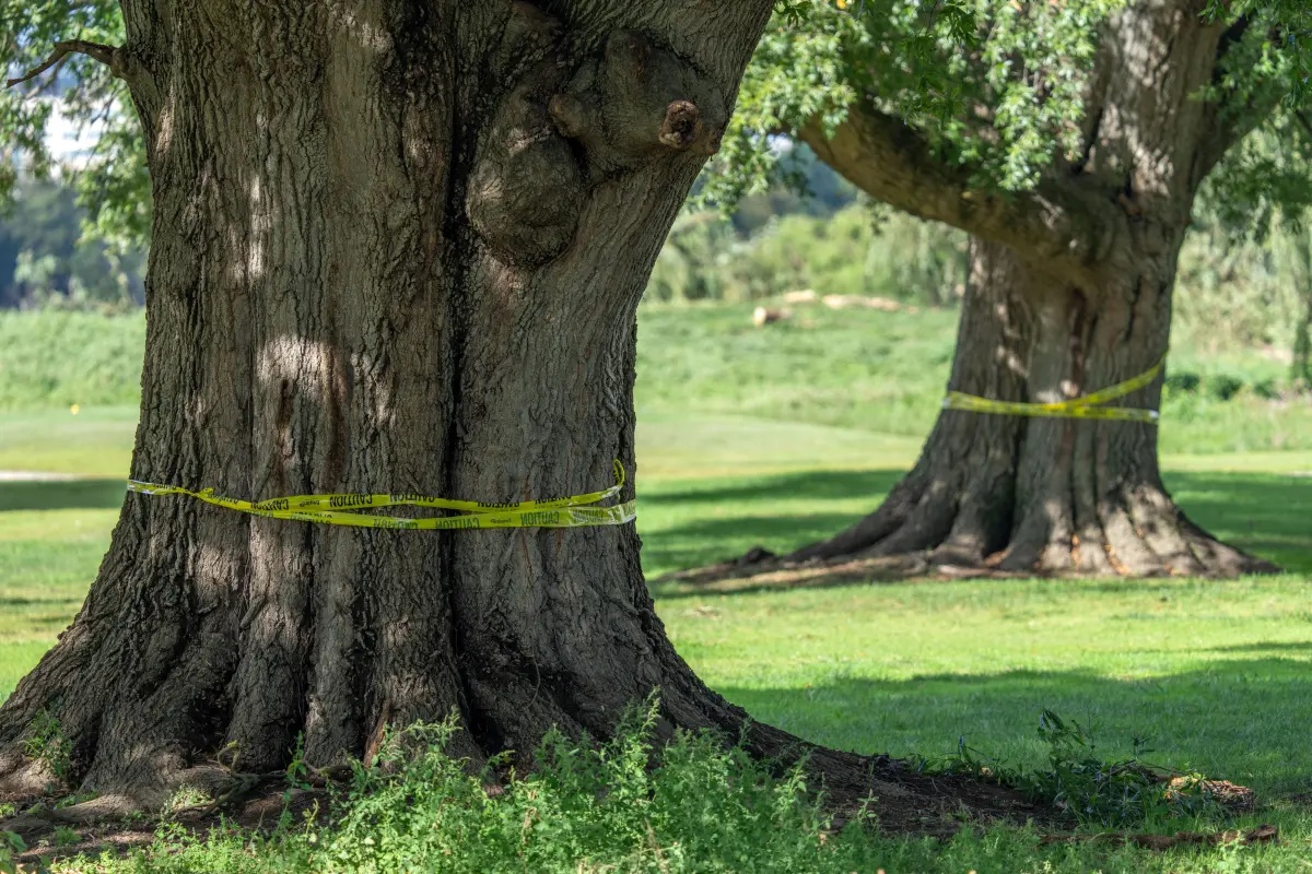 Judge hears testimony in legal fight over Trump’s golf course renovation plans at East Potomac Park