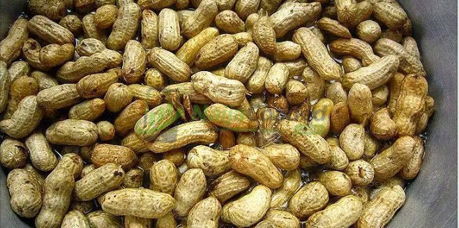 Breaking: Do You Still Eat Groundnuts? Here’s What They Do to Your Body