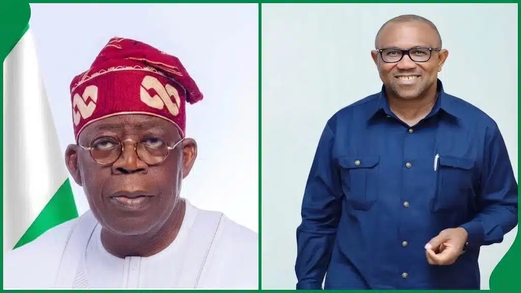 2027: Former Peter Obi Ally Announces Partnership With Tinubu Movement