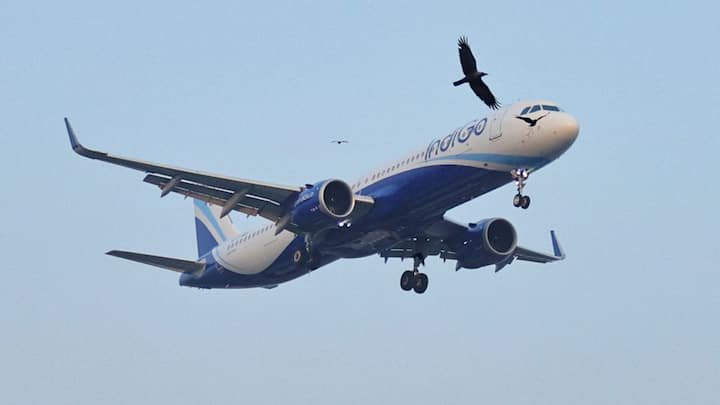 IndiGo flight makes emergency landing after fire on board: Why are power banks a risk on aircraft?