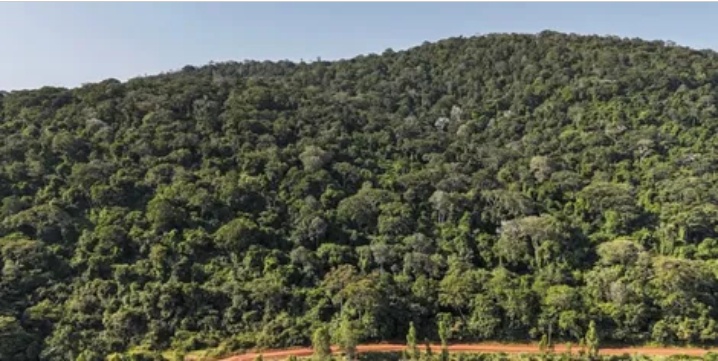 Ksh8 Trillion Mrima Hill Treasure: What Australian Firms Promise Kenya in Race Against US and China