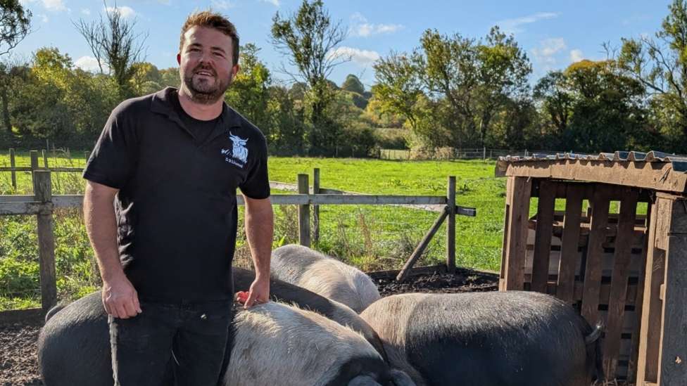 Is this the end for small-scale pig farming?