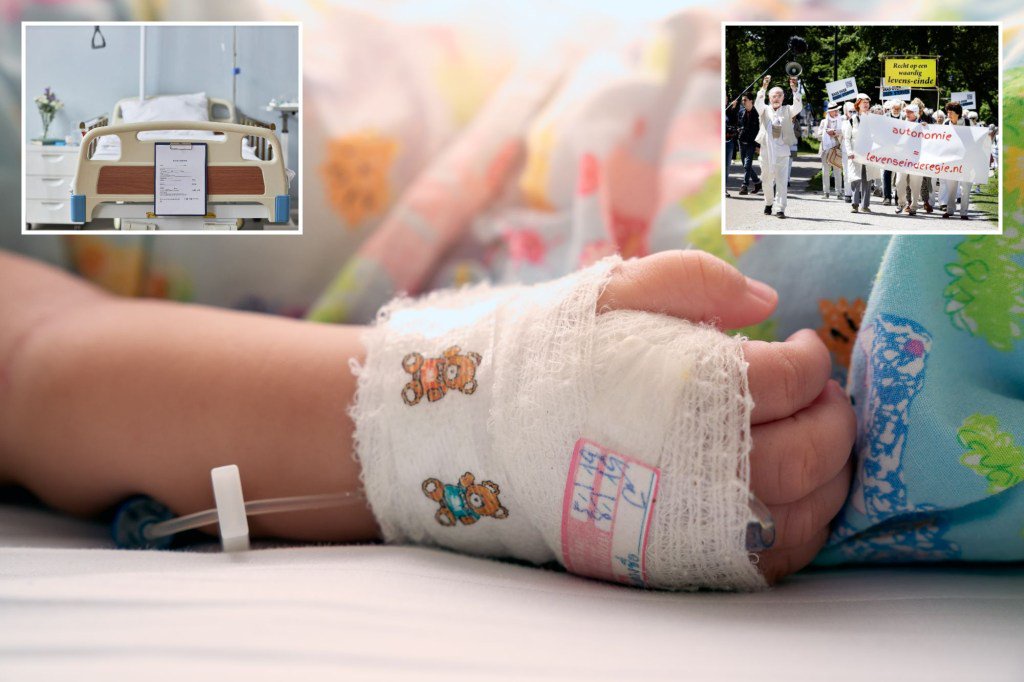 Toddler, 2, euthanised in first case of its kind after Netherlands cut age limit to include children under 12