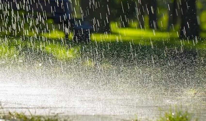 PDMA issues rain alert across Punjab until Oct 14