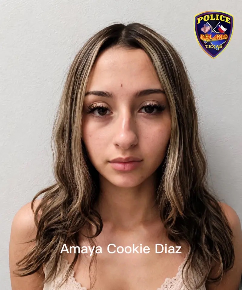American Teenager who smiled after being arrested for stabbing mother-of-five released on $2 Million bail
