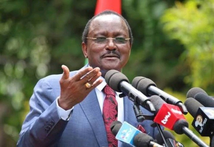 Kalonzo Finally Speaks on Working With Ruto After His Meeting With UDA Official