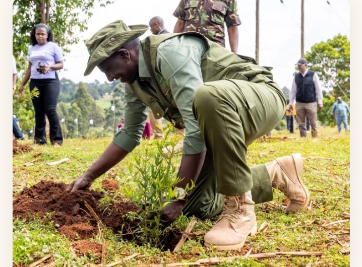 Ruto Leads Mazingira Day in Trans Nzoia as Kenya Targets 15 Billion Trees Amid Forest Concerns