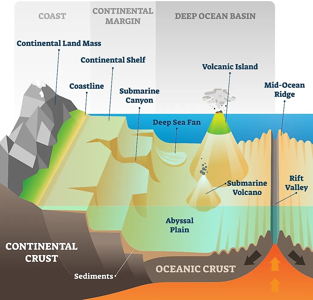 What Would We Find If We Drained The Oceans