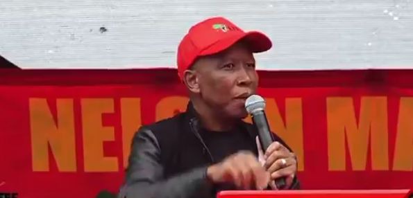 “White South Africans Must Surrender Their Land For SA To Achieve Economic Equality” Malema Says
