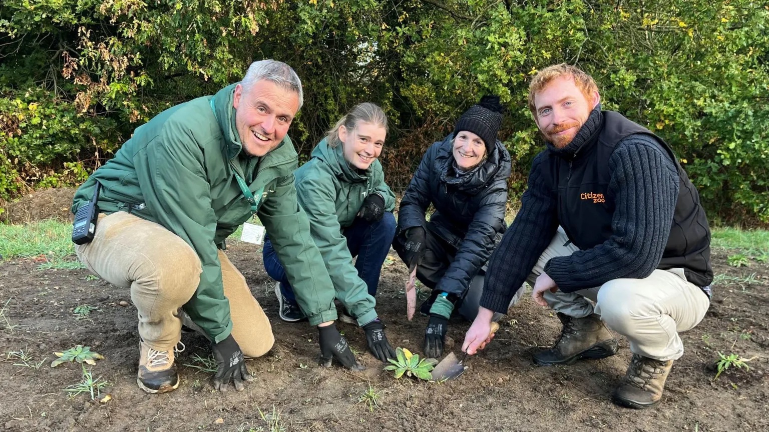 Volunteers help save one of London’s rarest plants