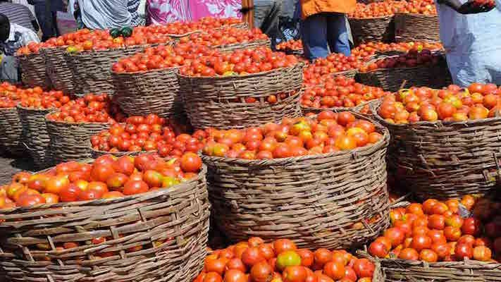 Households Groan as Tomato Prices Soar