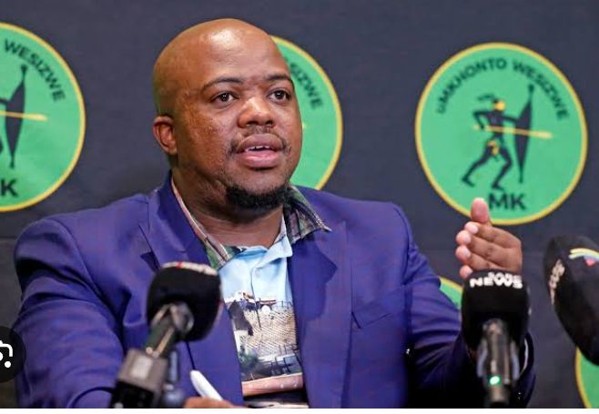 “Some MK Party Leaders Are Taking Advantage Of Jacob Zuma’s Age” Axed MK Party SG  Nomvalo Hit Out