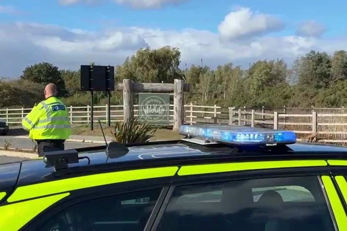 Police issue update after man ‘jumps’ into tiger enclosure at Yorkshire Wildlife Park