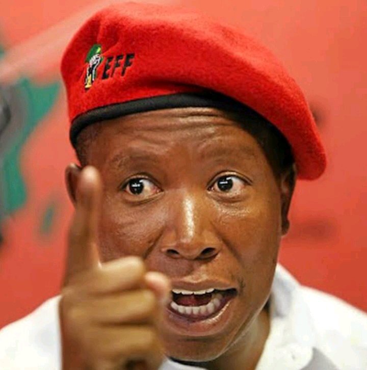 “MySol Is A Small Boy” Julius Malema Fires Back In Political Exchange