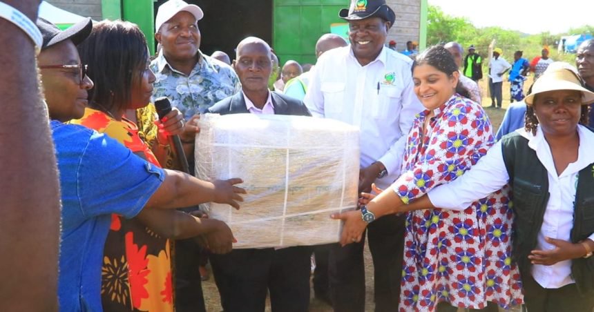 Government, Thika cloth mills partner in Ksh400m Bt cotton seed distribution