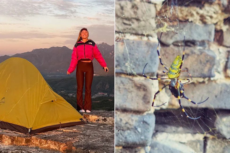 Woman’s Bucket-List Camping Trip Turns Into a Horror Movie When She Encounters Hundreds of Hand-Sized Spiders (Exclusive)