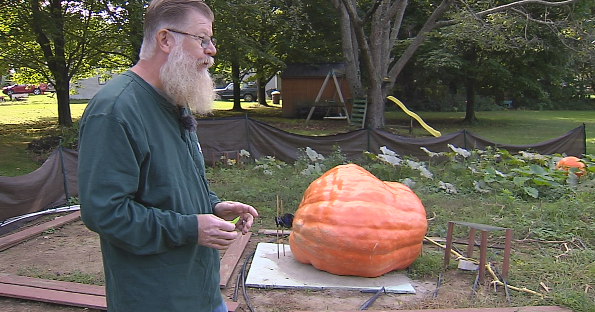 The Last Word: Man Enjoys Extreme Gardening During His Retirement