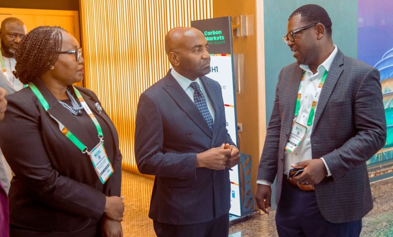 Tanzania records good progress in carbon trading, with six projects generating carbon credits