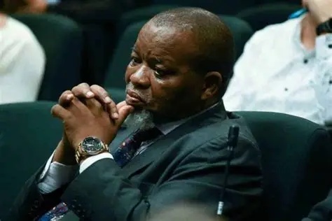 Gwede Mantashe’s Biblical Comparison of ANC to David Sparks Backlash