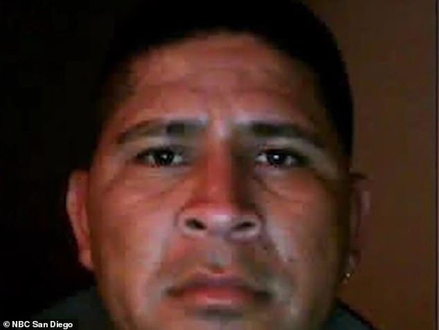 Tree trimmer shares sickening ‘pop’ sound he heard as co-worker was killed in freak accident while atop eucalyptus