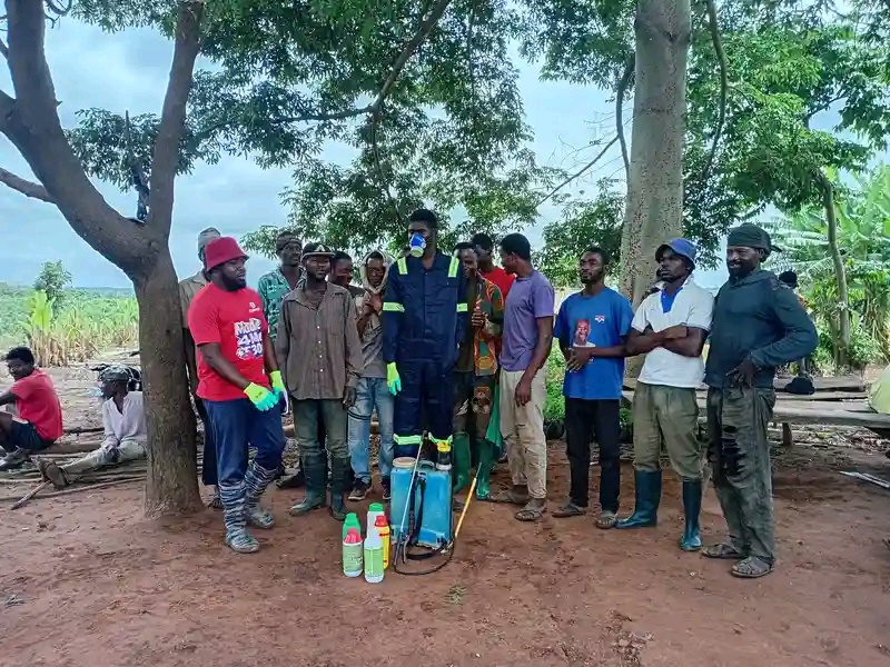 Agric Ministry Expands Farmer Support In Ashanti Region