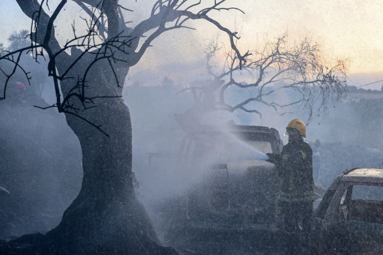 Palestine weekly: Olive harvest opens under assault