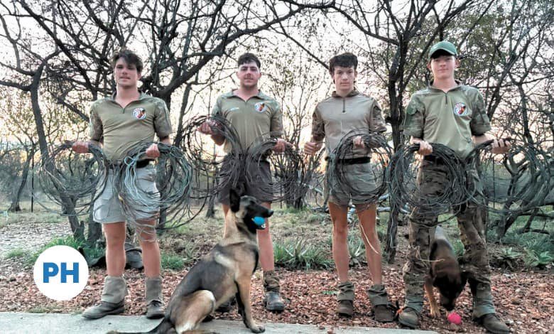 76 poachers’ snares removed in Phalaborwa patrol