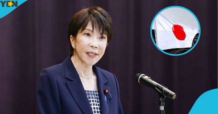 Full List: Japan Names 8 Countries Whose Citizens Can Enter Using ePassport Instead of Visa