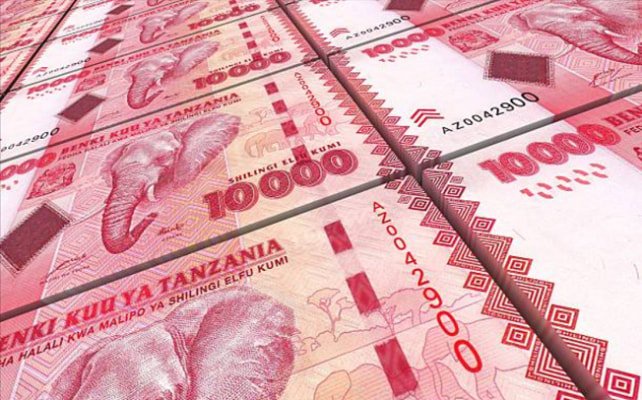 EU unlocks 461bn/- for Tanzania