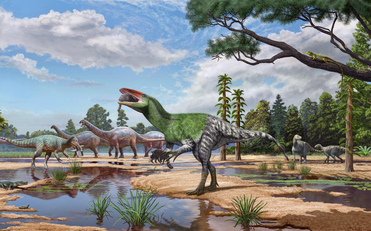 New dinosaur species discovered from fossil ‘overlooked’ for over 100 years