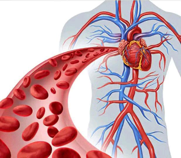 Your Blood May Not Be Circulating Well If You Notice These Signs In Your Body