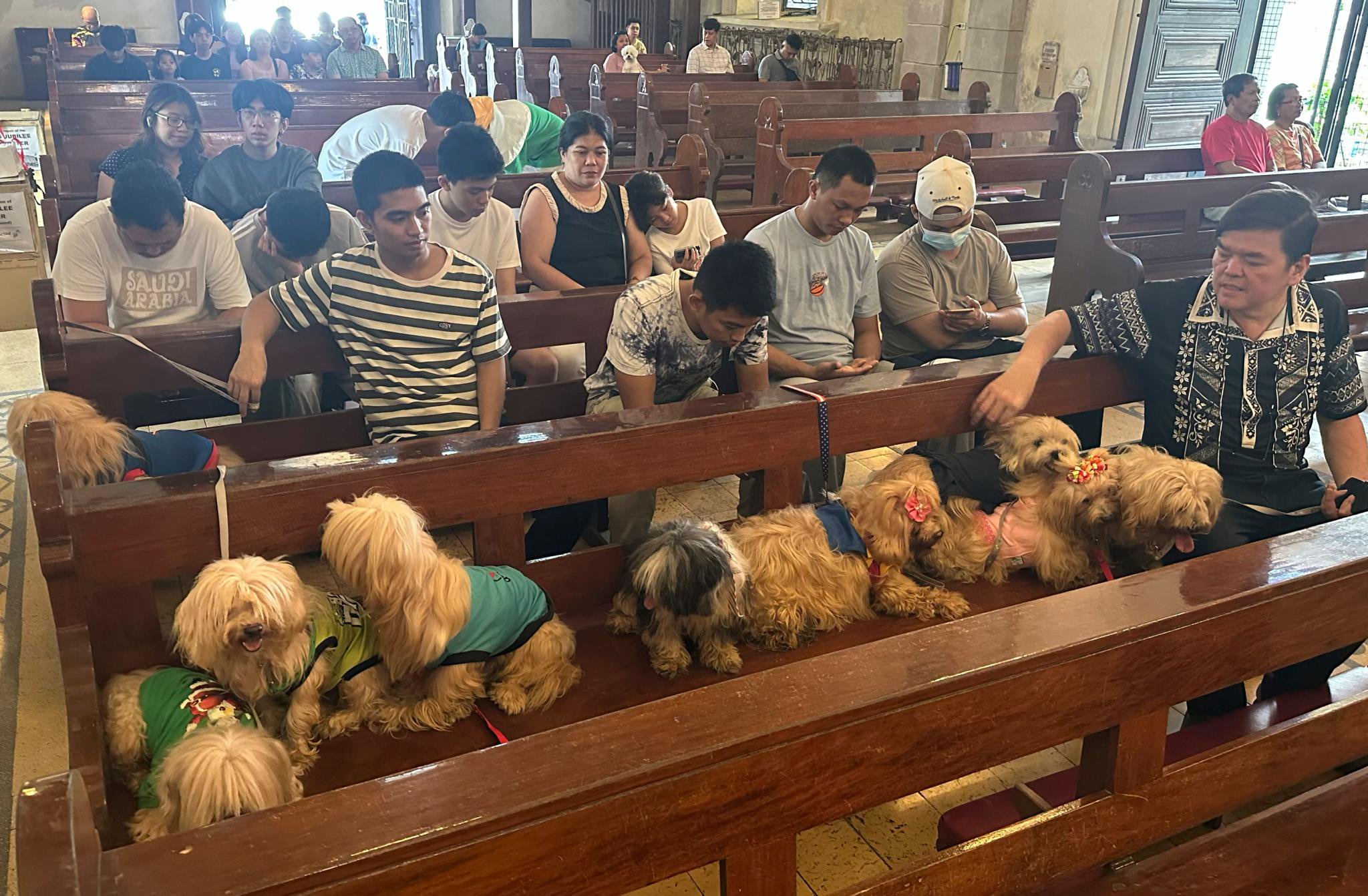 Wagging tails fill Malate Church as priests bless pets for St. Francis feast