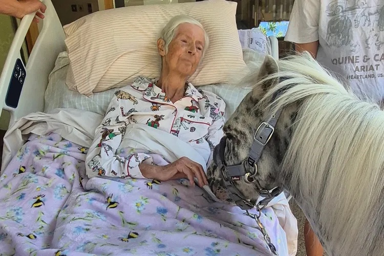 Woman in Hospice Gets Final Wish to Experience the ‘Horsey Smell’ One More Time When Horses Visit Her Bedside (Exclusive)