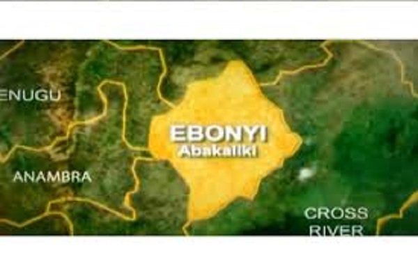 Abakaliki Rice Mill: Ebonyi’s prostrate goldmine
