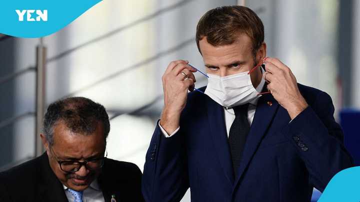 Shamonda Virus: France Records First Human Case, Patient Dies
