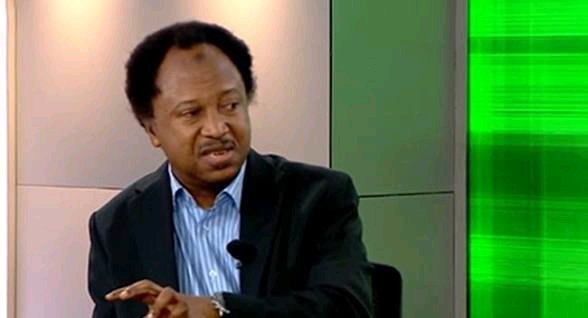 Shehu Sani Warns NCDC Over N100,000 Weekly Allowance for Ebola Contacts in Isolation