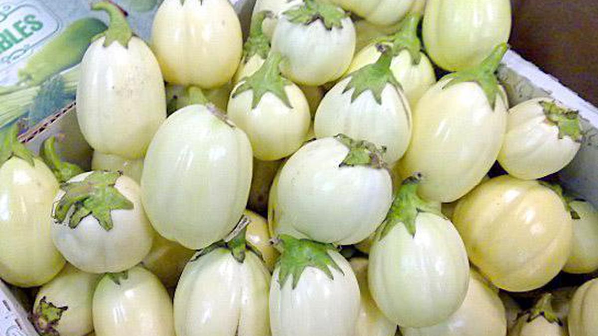BREAKING: Garden Egg: Natural Kidney Cleanse & Toxin Flush